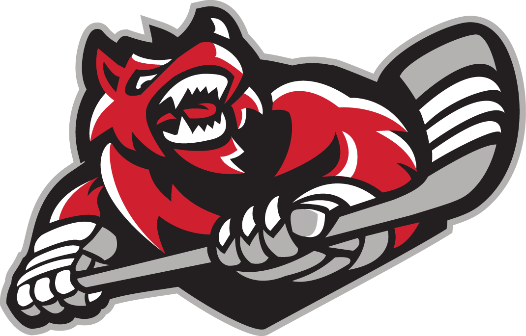 Huntsville Havoc 2016-Pres Secondary Logo iron on heat transfer